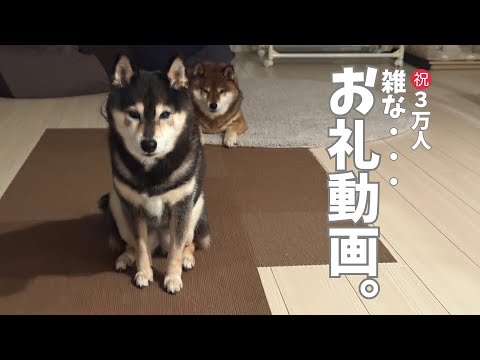 ありがとうございます！チャンネル登録者数3万人になりました👏 サムネイル