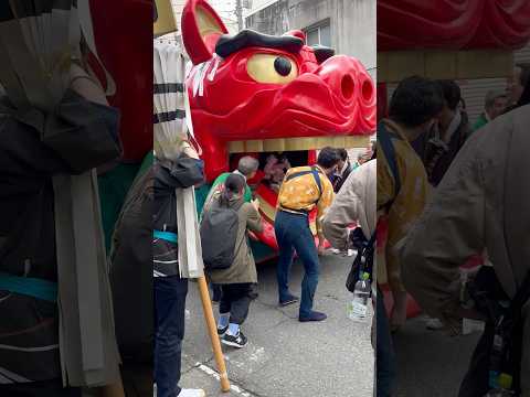 #shorts 酒田大獅子　日和　獅子パックン　酒田まつり サムネイル
