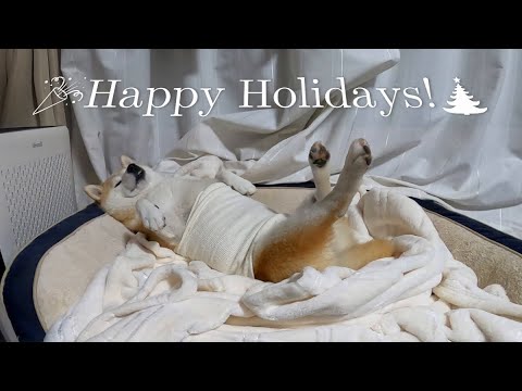 クリスマスチキン🍗(時々動きます) サムネイル