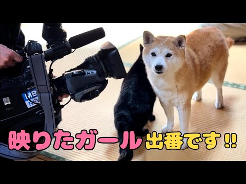 テレビ取材当日の裏側　Behind the Scenes of a TV Shoot サムネイル
