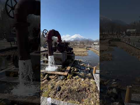 shorts 山中湖交流プラザきらら からの富士山　2026年2月22日 サムネイル