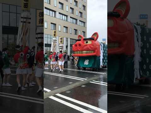 shorts 酒田大獅子　桜🌸　獅子パックン　酒田まつり サムネイル