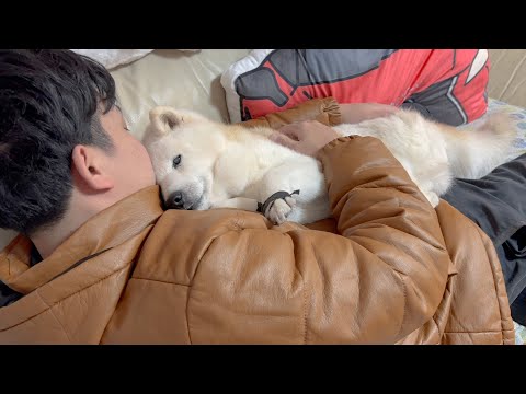 忙しいという次元を超えた、多頭飼い＆生後一か月赤ちゃんの子育てリアルモーニングルーティン サムネイル