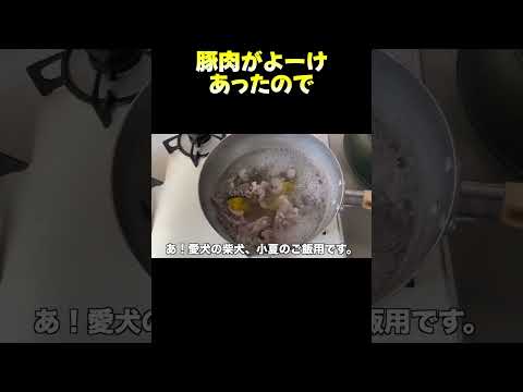 豚肉がよーけ サムネイル