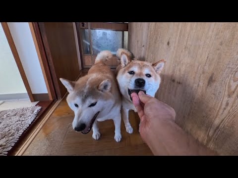 オヤツ持って追いかけられる食欲の冬 サムネイル