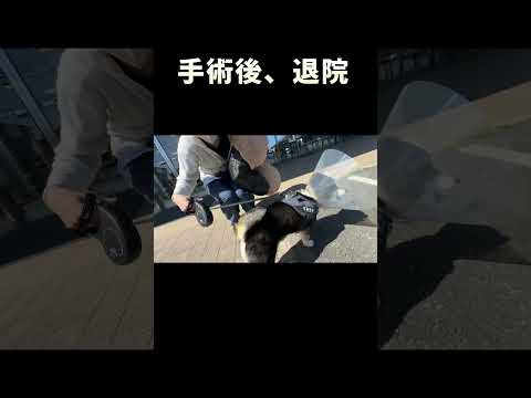 手術後退院 サムネイル