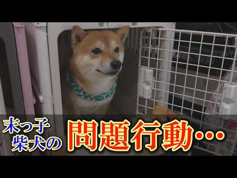今だから言える。フードガードの恐怖とその裏側