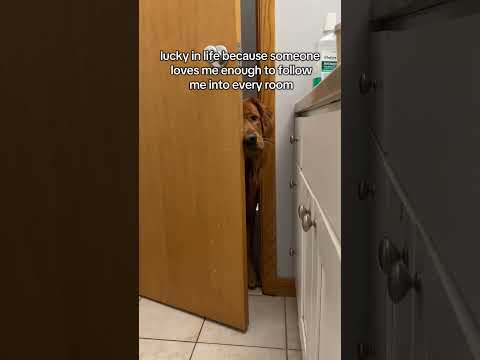 Even bathroom breaks are a group project 😂