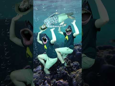 釣り魚たち サムネイル