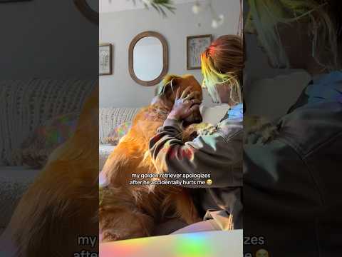 coming home to my golden retriever🥵 goldenretreiver dog ind… サムネイル