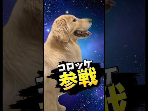 大乱闘コロッケブラザーズ 大型犬 ゴールデンレトリバー