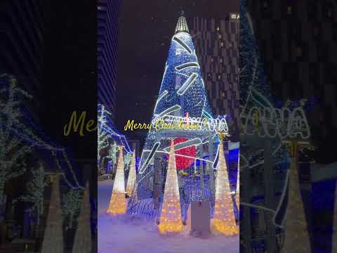 shorts 旭川駅前にて　2025年12月18日 サムネイル