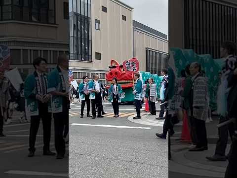 shorts 酒田大獅子桜🌸　獅子パックン　酒田まつり サムネイル