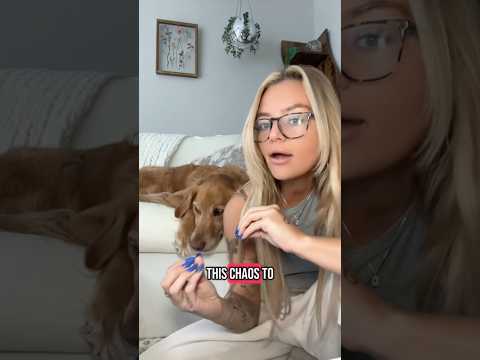 coming home to my golden retriever🥵 goldenretreiver dog ind… サムネイル