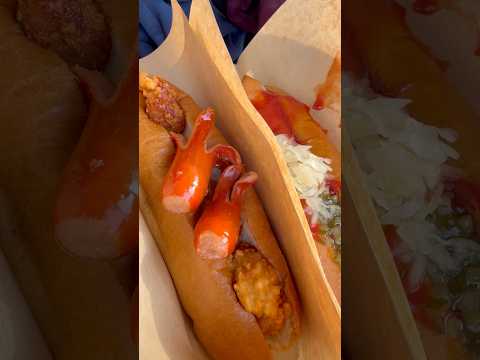 shorts 神戸養蜂場のホットドッグとタコさんパン　須磨シーワールドにて　2025年12月30日 サムネイル