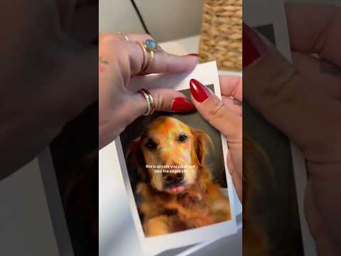 dog-tor coby to rescue🛟goldenpup puppy goldenpupppy dogbree… サムネイル