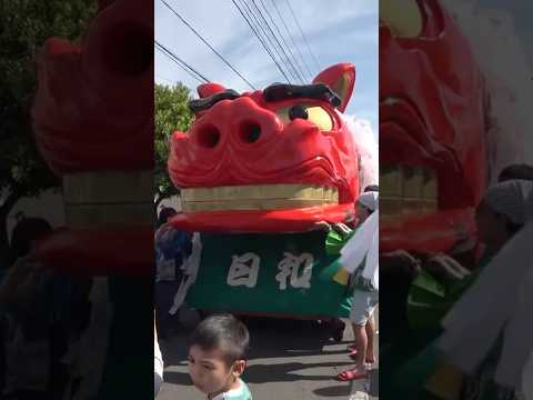 shorts 酒田大獅子　日和　獅子パックン　酒田まつり サムネイル