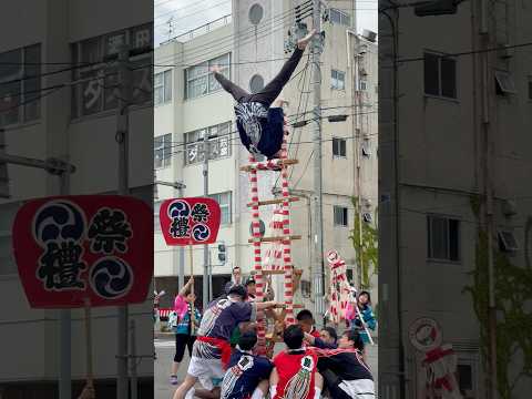 shorts 獅子パックン〜のハシゴ乗りの演技披露〜　酒田祭り本祭りにて　2026年5月20日 サムネイル