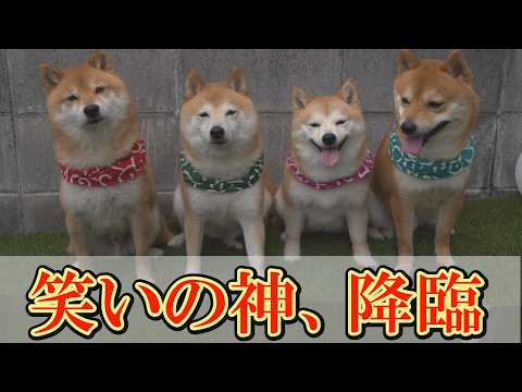 【神回】かけっこ大会をしたら、伝説に残る爆笑動画が出来上がりました。 サムネイル