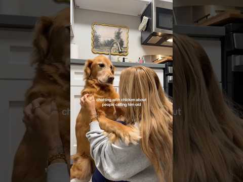 coming home to my golden retriever🥵 goldenretreiver dog ind… サムネイル