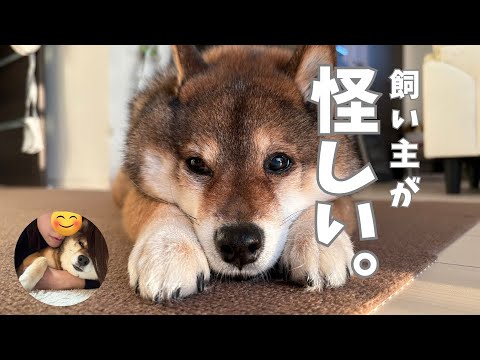 飼い主の完全復活が怖いわけ・・・ サムネイル