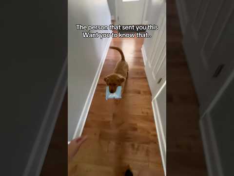 Don’t get mad at the messenger if you get in trouble サムネイル