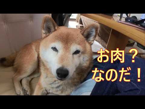 【1092】過去映像：美味しそうな匂いなのだ！ サムネイル