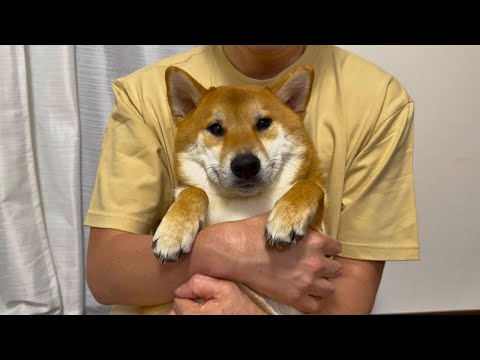 【ありがとう】いつも応援してくださってる皆様へ サムネイル