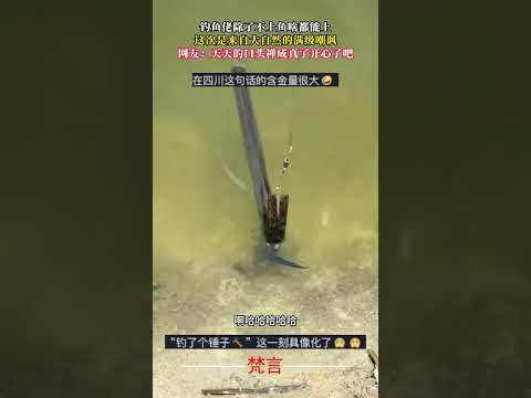釣魚佬除了不上魚啥都能上 這次是來自大自然的滿級嘲諷 釣魚 意外 萬萬沒想到 有趣 搞笑 fishing amazin… サムネイル