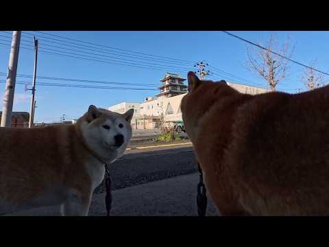 平成元年に築城された謎の天守閣が取り壊されてしまうらしいので サムネイル