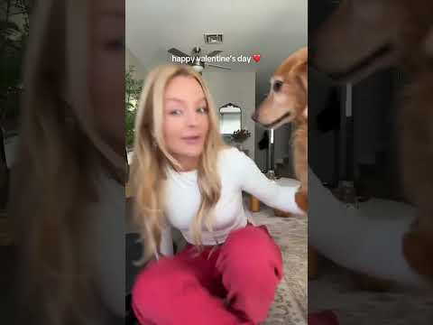 coming home to my golden retriever🥵goldenretreivers dog pup… サムネイル