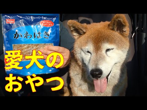 【1062】おやつ買ってきました サムネイル