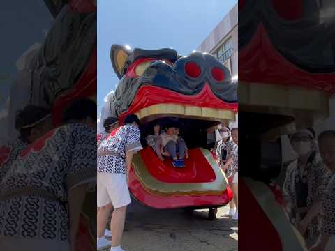 shorts 酒田大獅子　松🌲　獅子パックン　酒田まつり サムネイル