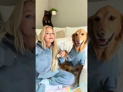 coming home to my golden retriever🥵goldenretreivers dog pup… サムネイル