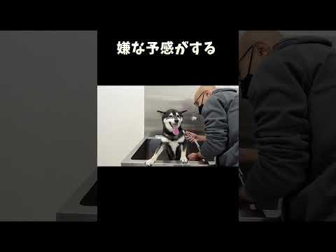 嫌な予感がする サムネイル