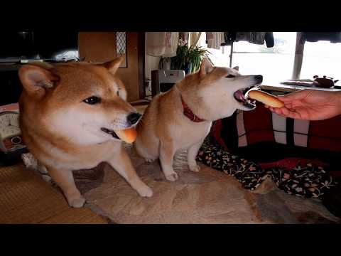 パンを食べる焼きたてパン サムネイル