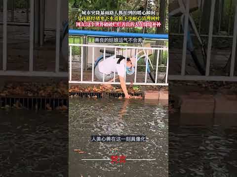 城市突降暴雨路人抓拍到的暖心瞬間 女孩路經堵塞下水道俯下身耐心清理樹葉 暖心 善良 正能量 kindness good…