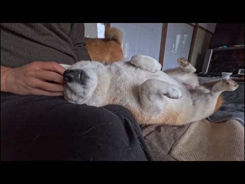 ローリングマッサージ サムネイル