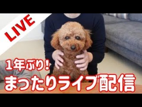 【復活】1年ぶりのまったりライブ サムネイル