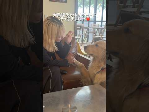 今日も麹とカフェ活☕️❤️ゴールデンレトリバー 犬と2人暮らし サムネイル