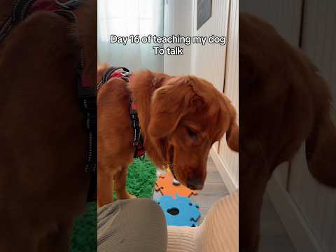 Don’t make the same mistake.. サムネイル