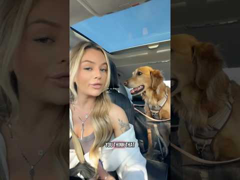 Come to my golden retriever 2026blonde goldenretreiver dogb… サムネイル