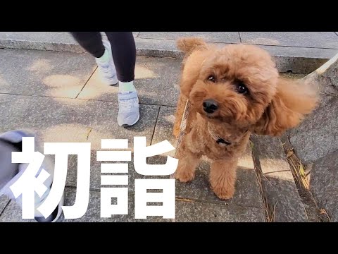 【初詣】本年もよろしくお願いいたします サムネイル