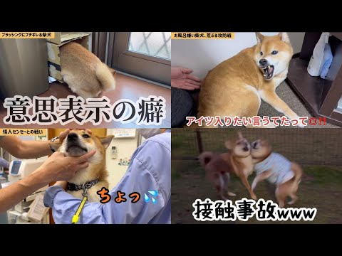 【爆笑】2025年名場面、大集合！総集編（前編） サムネイル