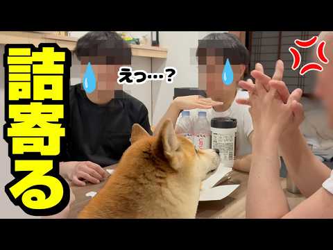 娘の恋が心配でパパが疑惑の彼に詰め寄る事態に…ドン引きする柴犬 サムネイル