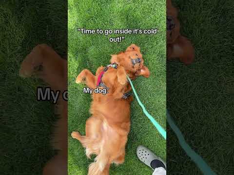 He knows what he’s doing 🤣 サムネイル