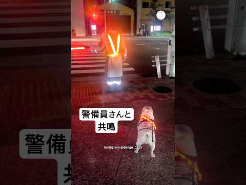 散歩中、警備員さんと共鳴した犬　フレンチブルドッグ 犬　かわいい犬 面白い　犬のいる暮らし サムネイル