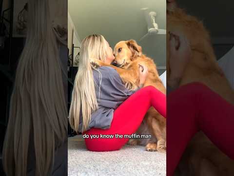 coming home to my golden retriever🥵 goldenretreiver dog ind… サムネイル