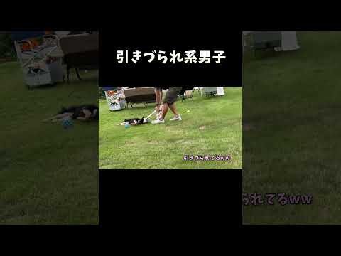 引きづられ系男子 サムネイル