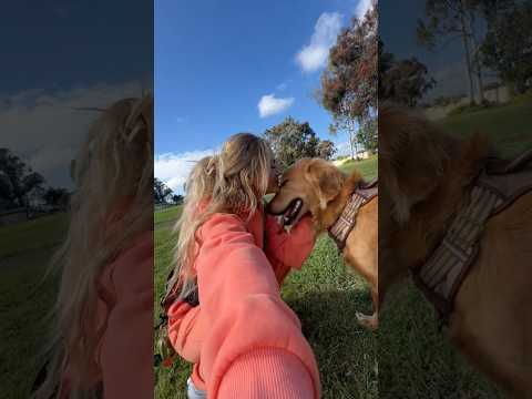 coming home to my golden retriever🥵 goldenretreiver dog ind… サムネイル
